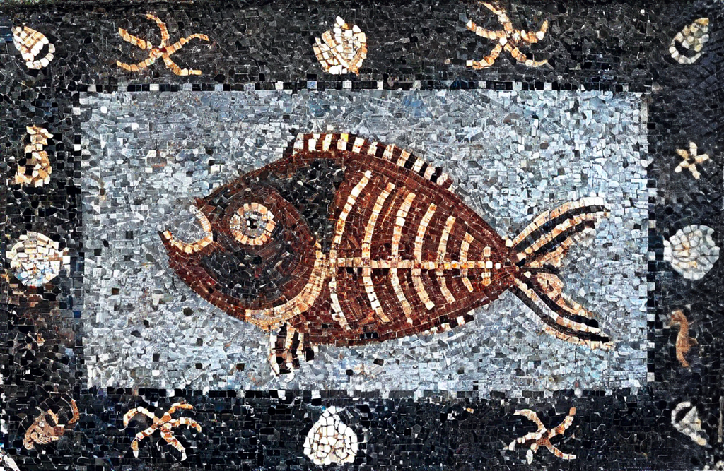 Fish Mosaic With Nautical Broder