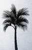 Silhouette of Serenity: Palm Tree Mosaic Wall Art